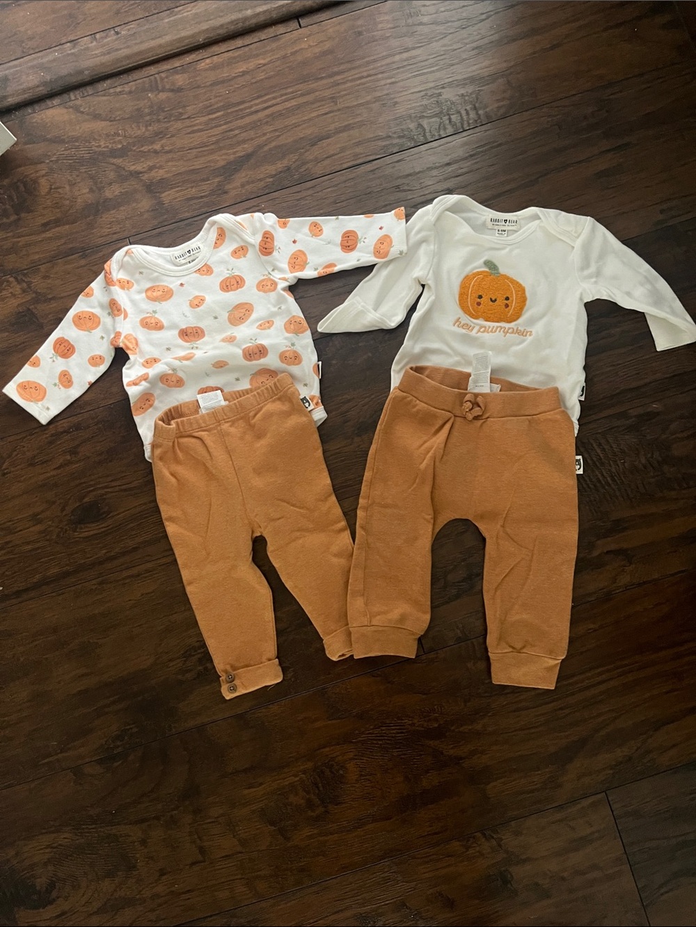 Bundle of 2 Rabbit and Bear Organic Fall outfits